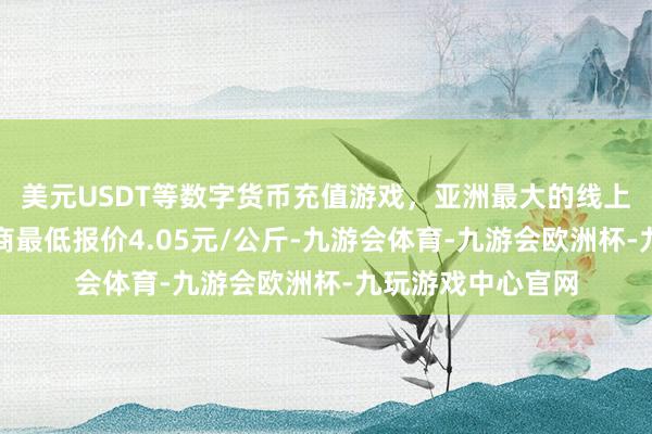 美元USDT等数字货币充值游戏，亚洲最大的线上游戏服务器供应商最低报价4.05元/公斤-九游会体育-九游会欧洲杯-九玩游戏中心官网