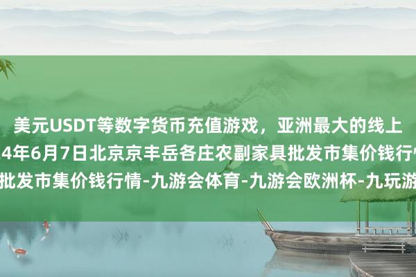 美元USDT等数字货币充值游戏，亚洲最大的线上游戏服务器供应商2024年6月7日北京京丰岳各庄农副家具批发市集价钱行情-九游会体育-九游会欧洲杯-九玩游戏中心官网