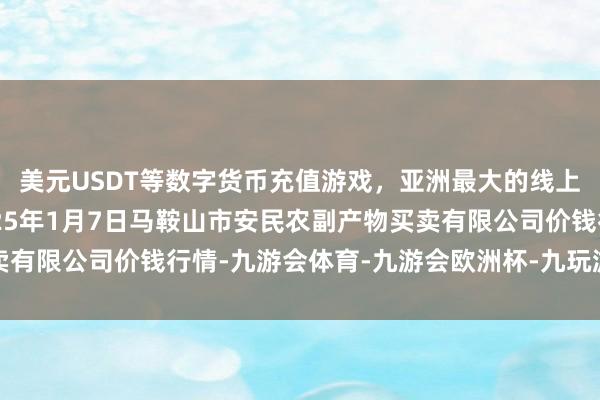 美元USDT等数字货币充值游戏，亚洲最大的线上游戏服务器供应商2025年1月7日马鞍山市安民农副产物买卖有限公司价钱行情-九游会体育-九游会欧洲杯-九玩游戏中心官网