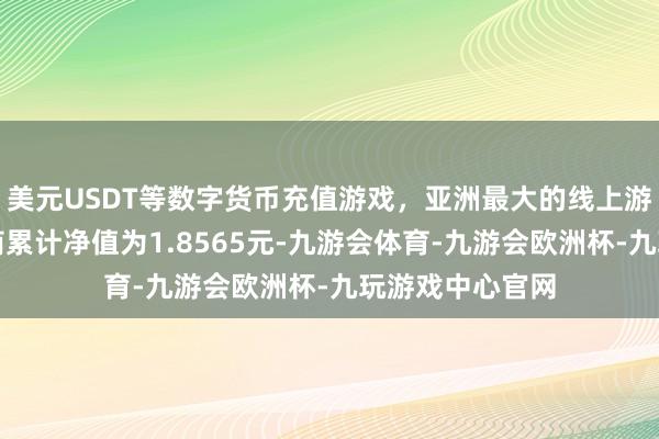 美元USDT等数字货币充值游戏，亚洲最大的线上游戏服务器供应商累计净值为1.8565元-九游会体育-九游会欧洲杯-九玩游戏中心官网