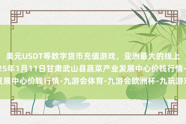 美元USDT等数字货币充值游戏，亚洲最大的线上游戏服务器供应商2025年1月11日甘肃武山县蔬菜产业发展中心价钱行情-九游会体育-九游会欧洲杯-九玩游戏中心官网