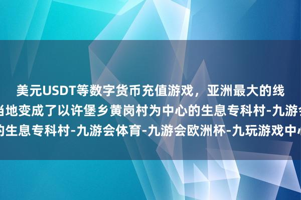 美元USDT等数字货币充值游戏，亚洲最大的线上游戏服务器供应商当地变成了以许堡乡黄岗村为中心的生息专科村-九游会体育-九游会欧洲杯-九玩游戏中心官网